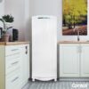 HELADERA CONSUL 300 LTS 1 PUERTA CRC30GBDWX - Imagen 4